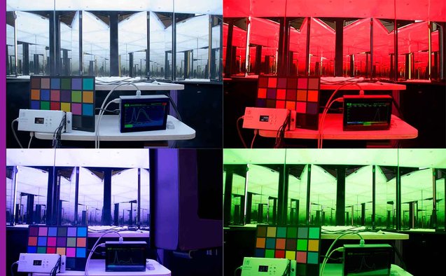 Lobelia 8ch by Beta nit